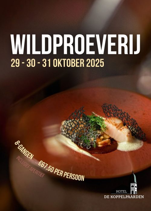 Poster Wildproeverij Kermis Welkom